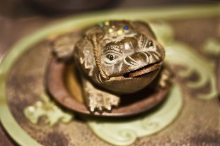 Amulet-toad, happiness and wealth